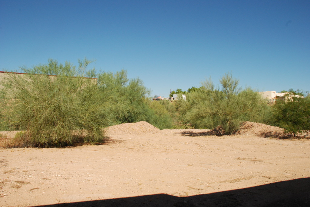 428 South Boyd Road Apache Junction, AZ 85119 - Photo 13 of 14 Backyard