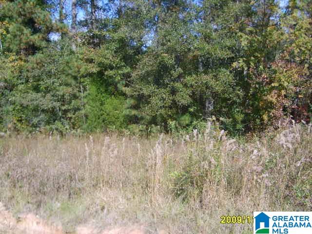 6255 Grist Mill Road Alpine, AL 35014 - Photo 1 of 1