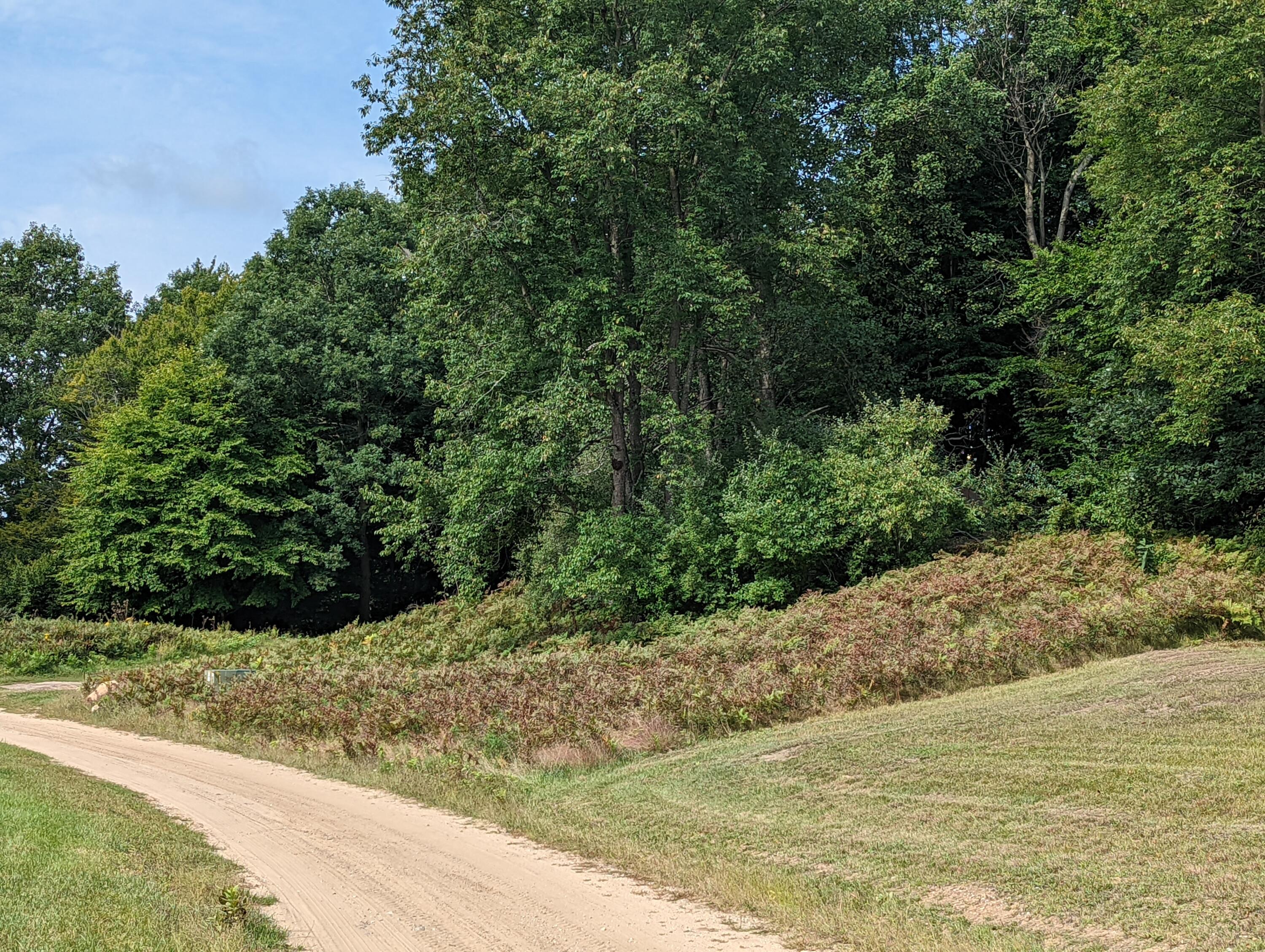 4744 Deer Cove Road Custer, MI 49405 - Photo 2 of 6 PXL_20220916_161116529