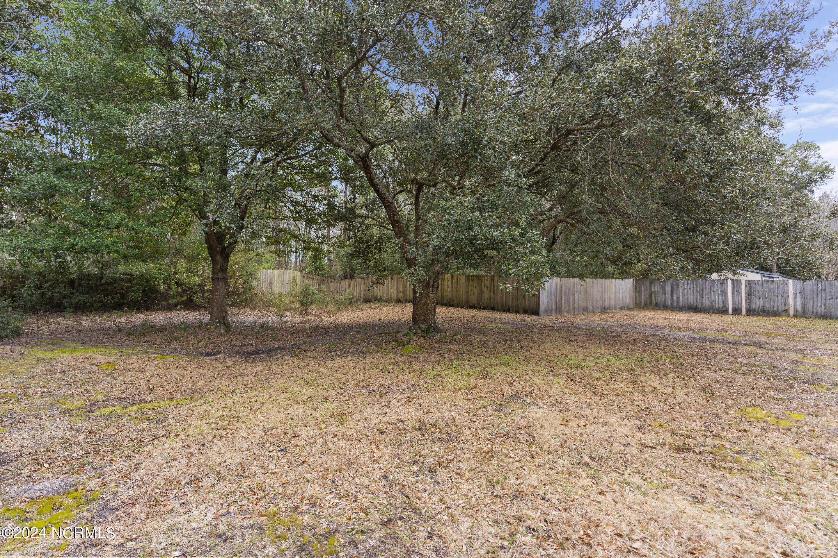 4039 Halifax Road Wilmington, NC 28403 - Photo 33 of 41 backyard6