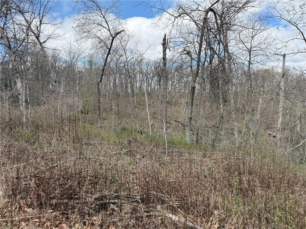 991 Southeast 976 Road Deepwater, MO 64740 - Photo 58 of 79
