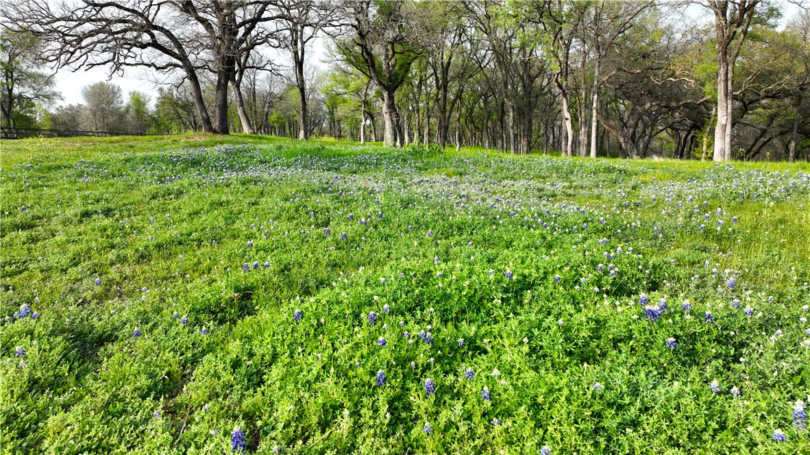 Lot 4 Grove Creek Drive Waco, TX 76708 - Photo 18 of 33