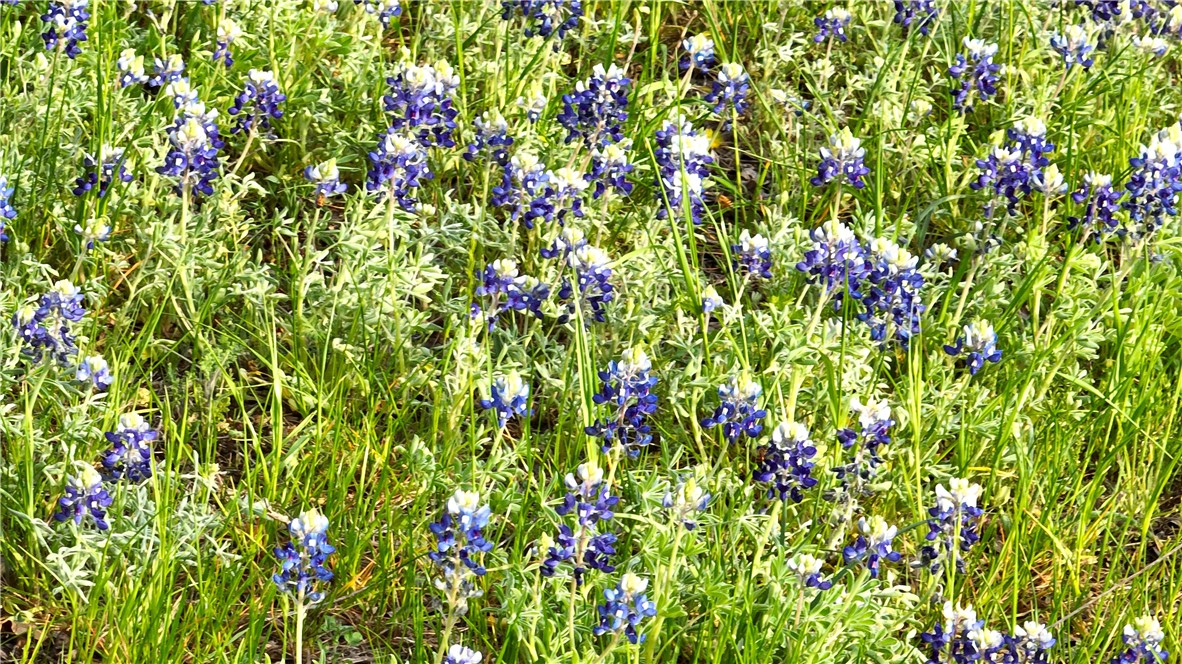 Lot 4 Grove Creek Drive Waco, TX 76708 - Photo 19 of 33