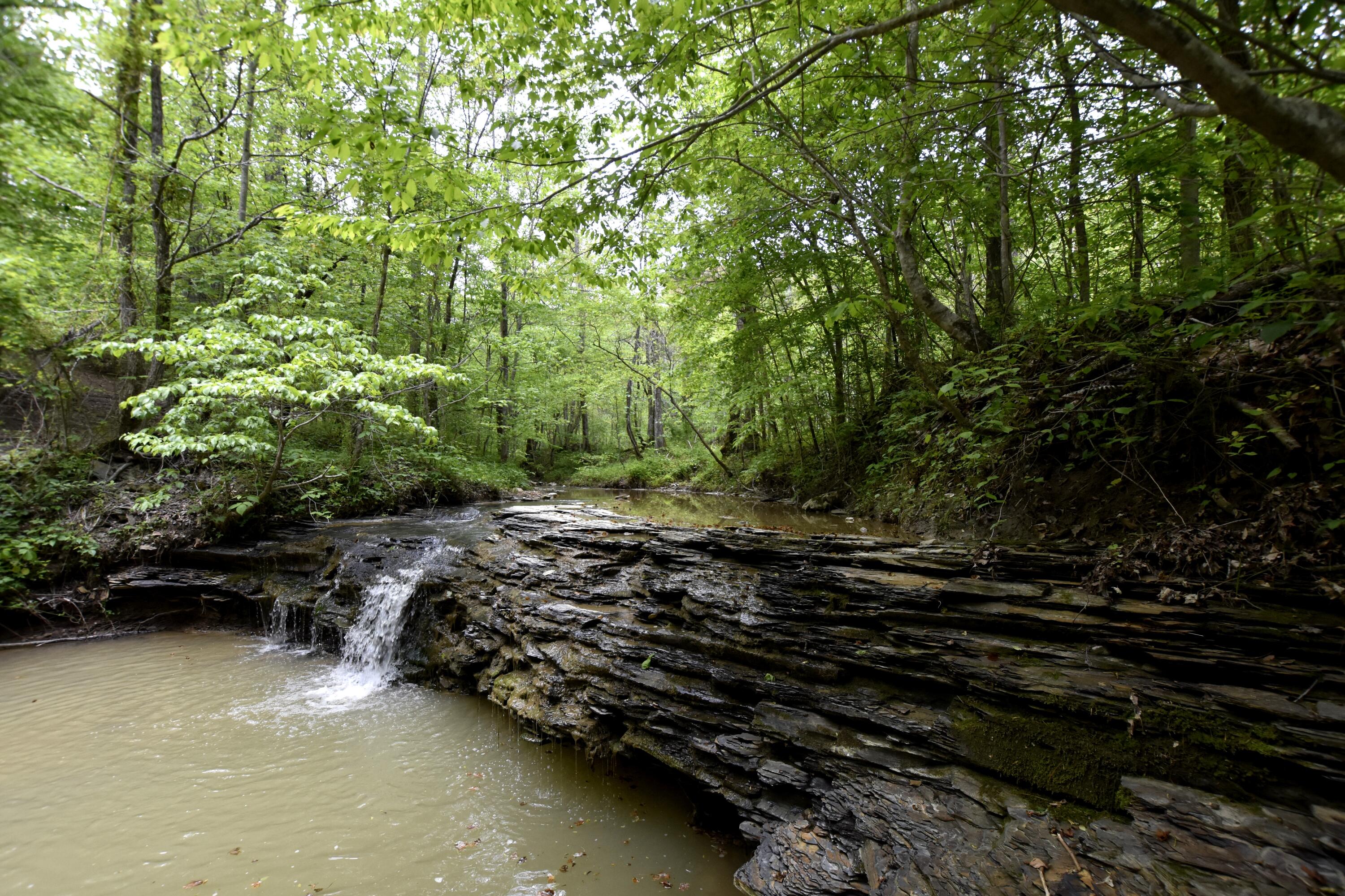 460.2 Cow Creek Road Ravenna, KY 40472 - Photo 3 of 46 Fresh mountain water!