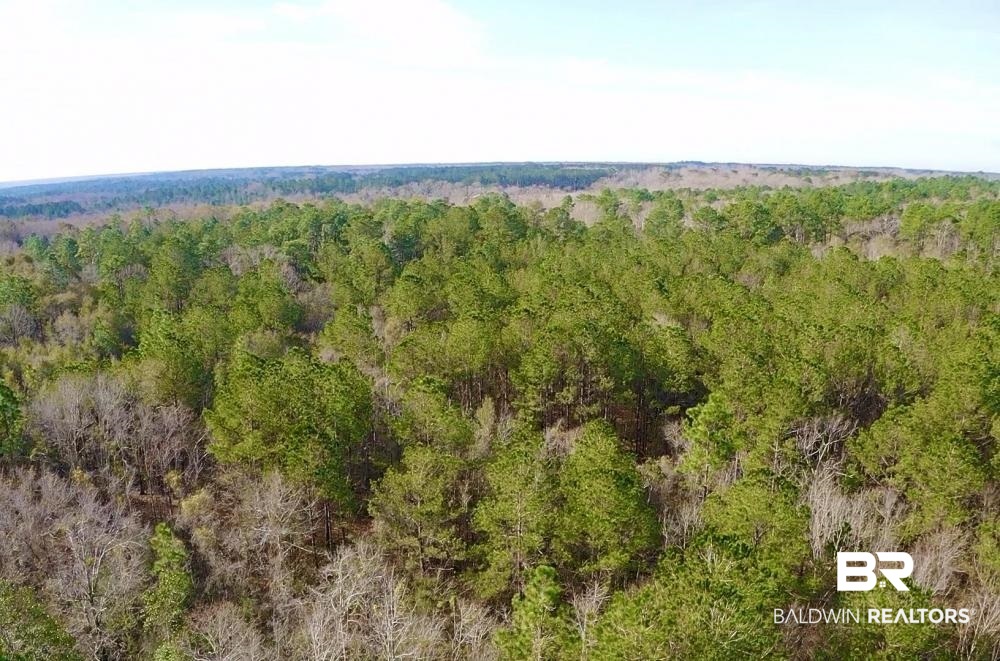 0 Baxter Road Wilmer, AL 36587 - Photo 2 of 6