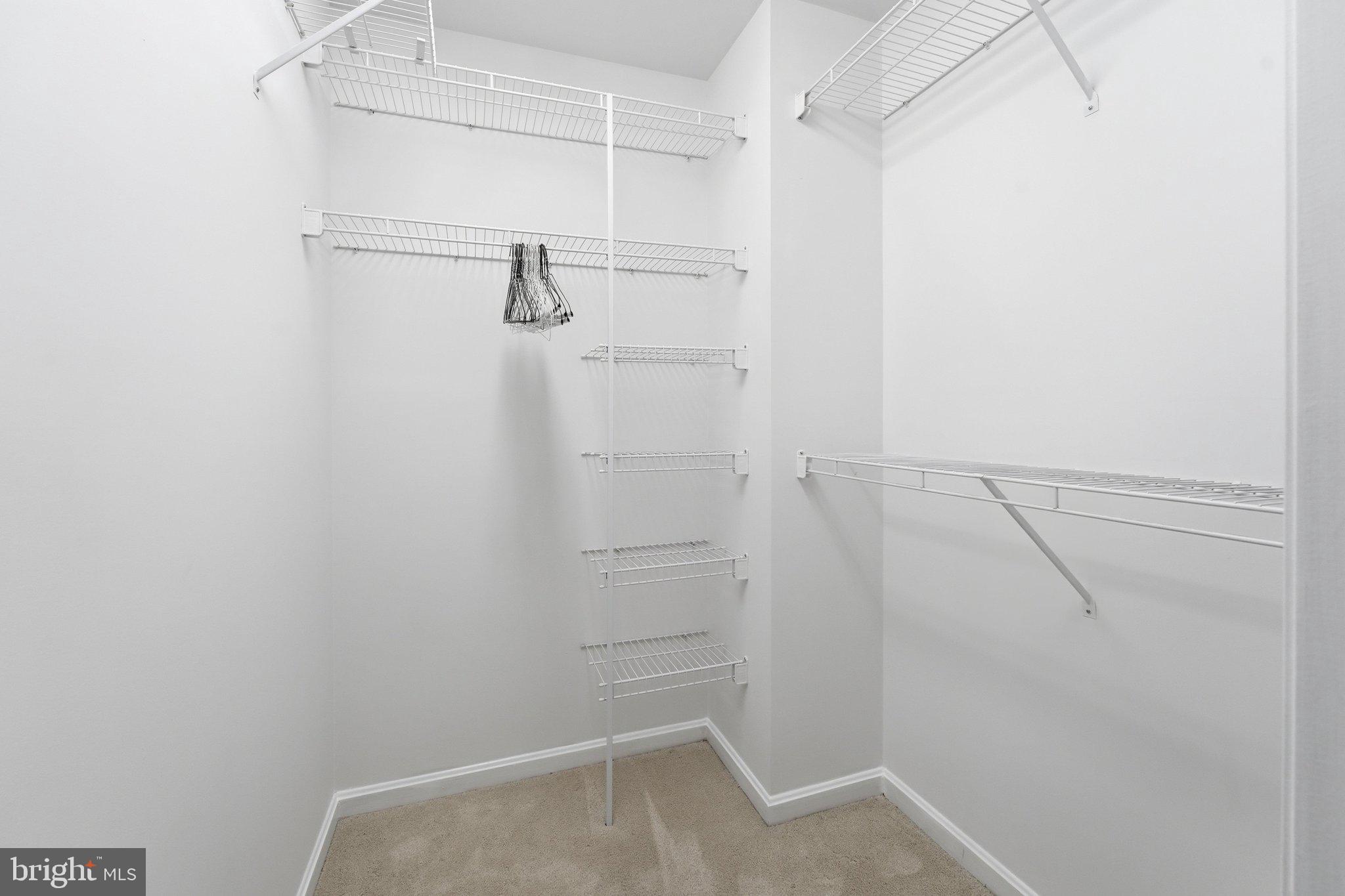 2412 Ellsworth Way, Unit 1B Frederick, MD 21702 - Photo 27 of 60 Primary Bedroom Closet