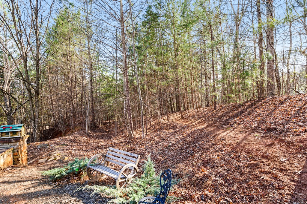 476 Licklog Ridge Hayesville, NC 28904 - Photo 24 of 41 a view of backyard with tree