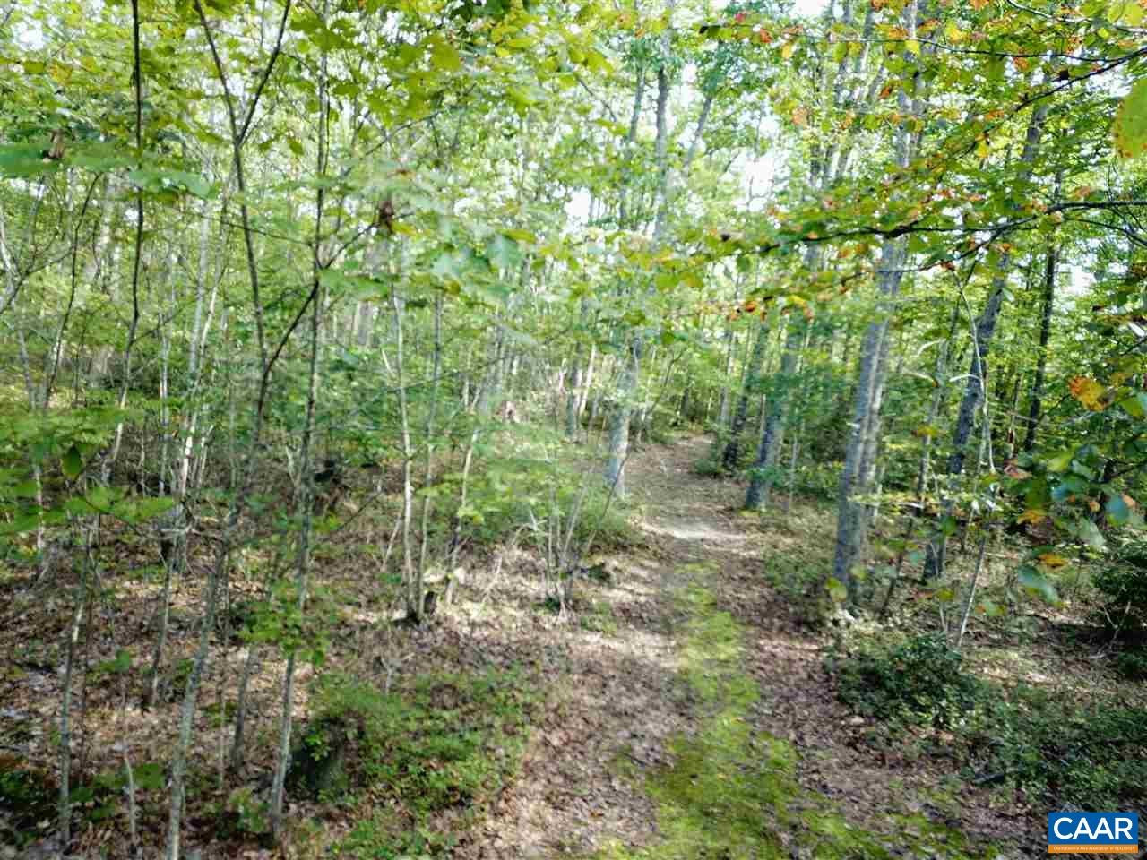 Tba Lot 2 Tba Route South Dillwyn, VA 23936 - Photo 15 of 39 Gallery Image 15