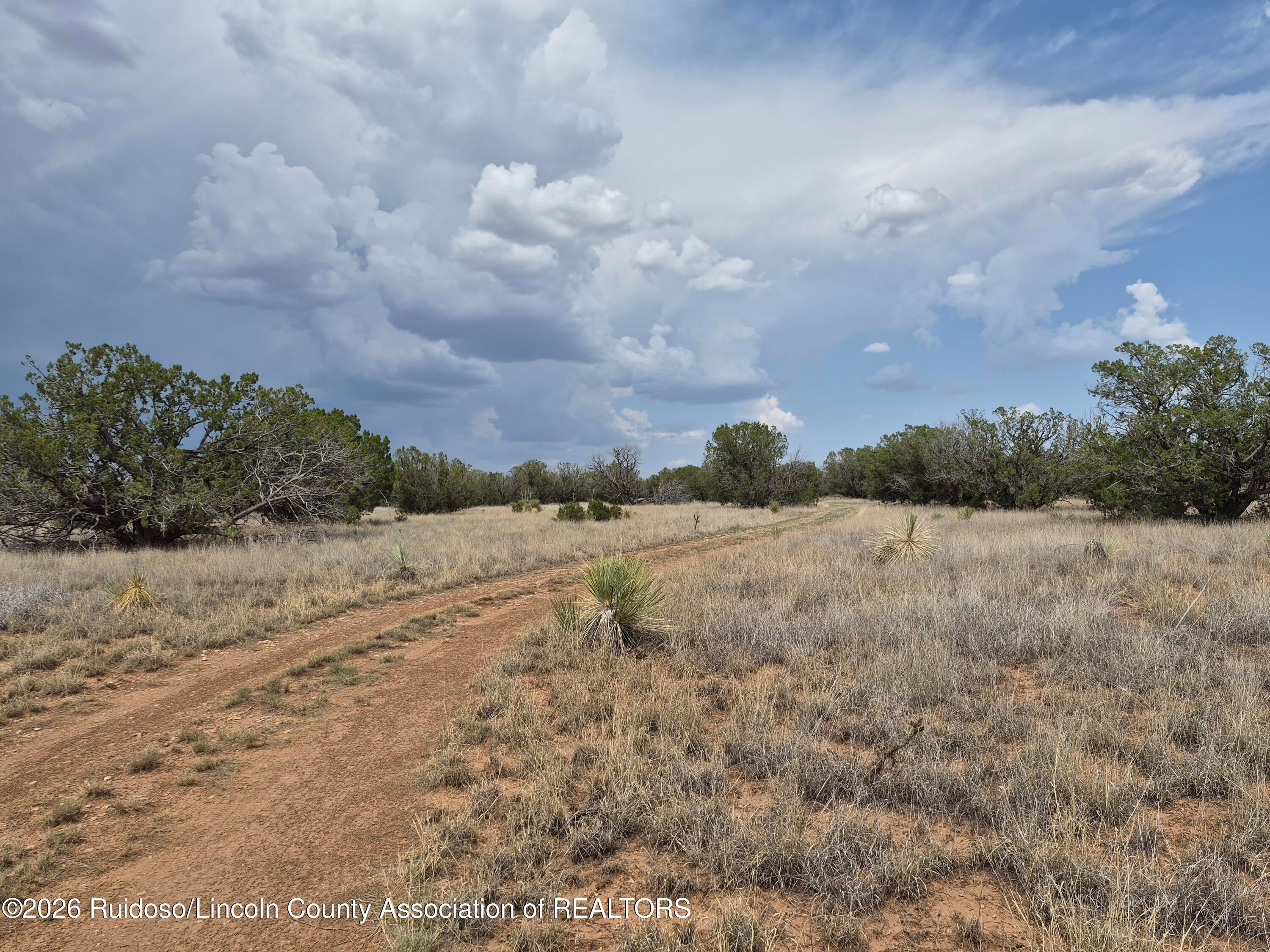 340 Ranch House Road Carrizozo, NM 88301 - Photo 30 of 34 Gallery Image 30