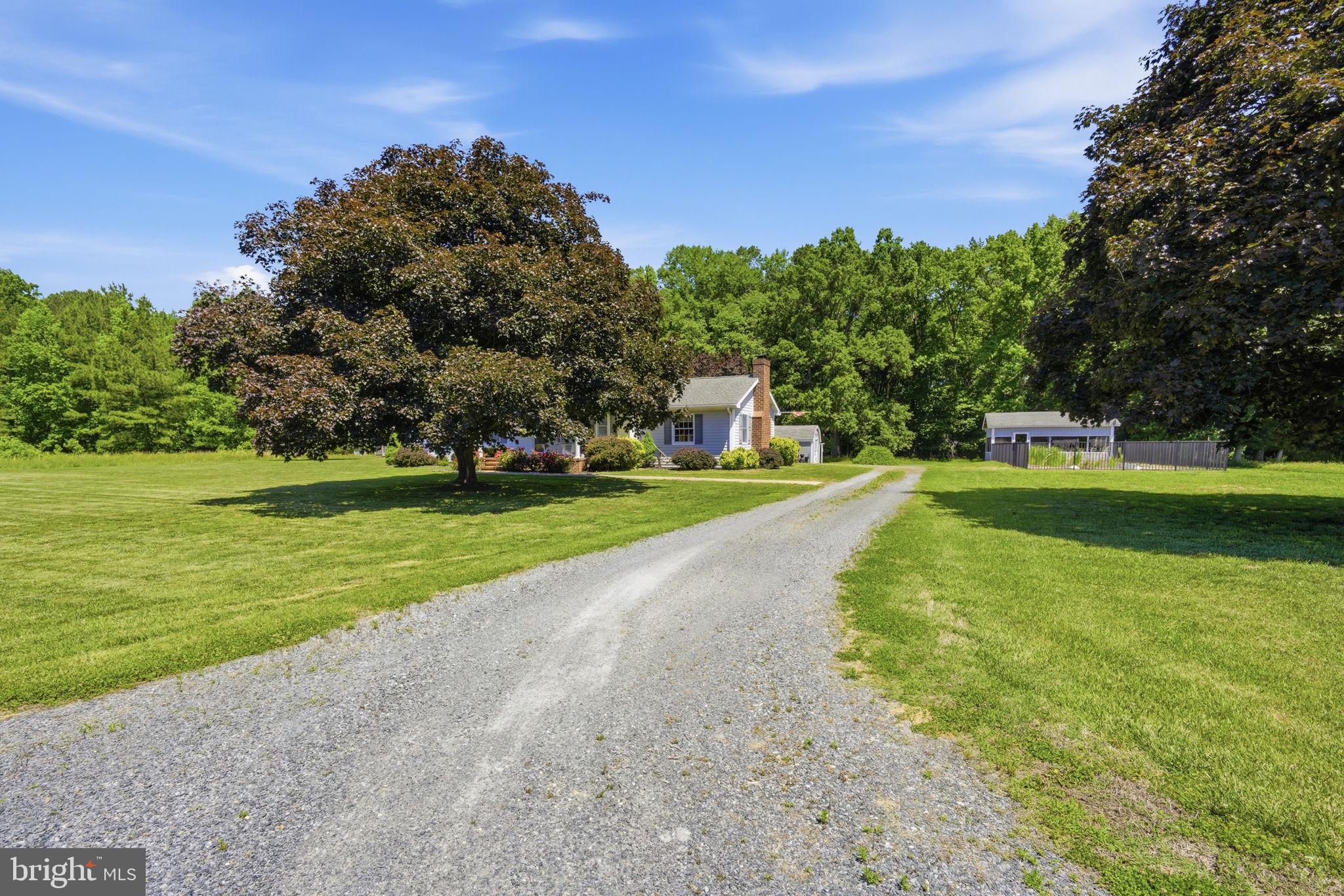 28402 Liden School Road Denton, MD 21629 - Photo 24 of 32 Drie