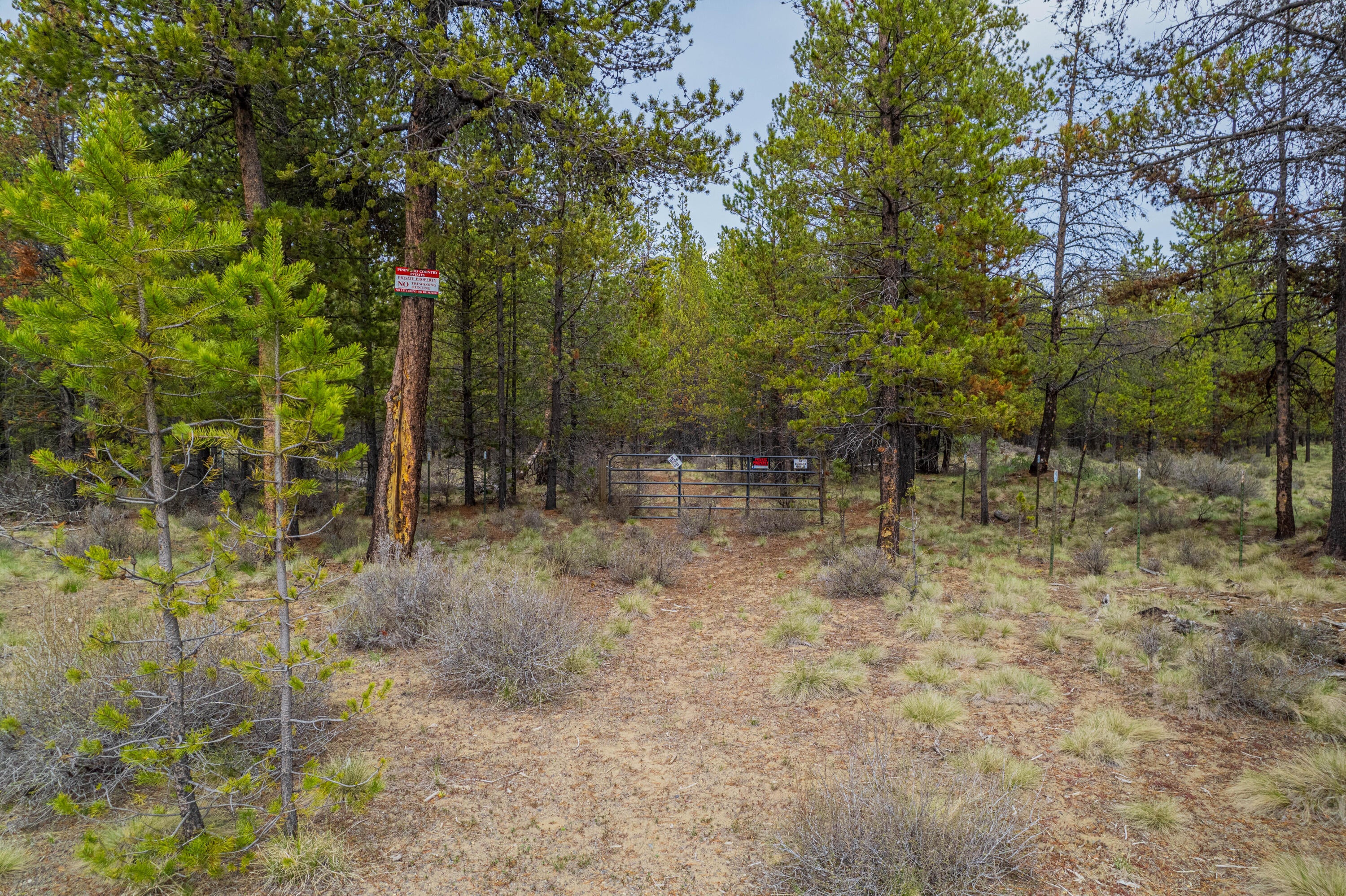 54970 Roundtree Lane Bend, OR 97707 - Photo 2 of 17 54970 Roundtree