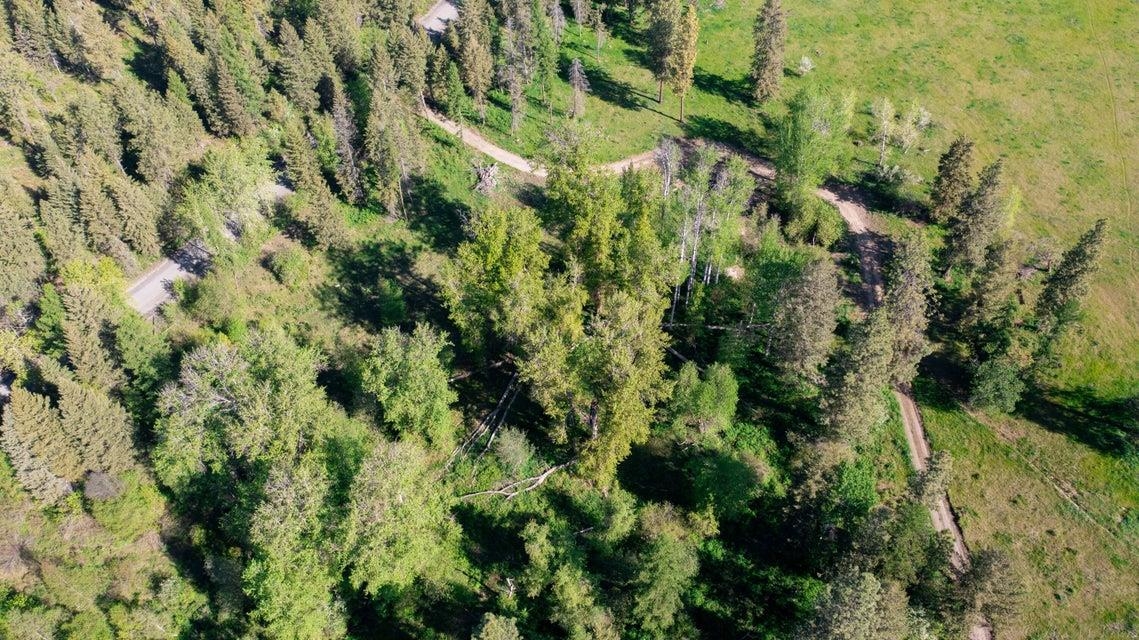 360 Barnaby Creek Road Inchelium, WA 99138 - Photo 19 of 31