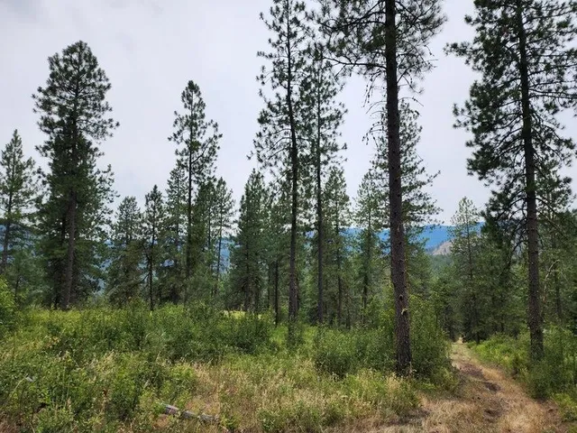 $160,000 | 360 Barnaby Creek Road, Inchelium, WA 99138