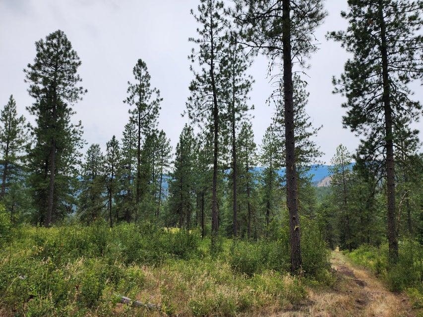 360 Barnaby Creek Road Inchelium, WA 99138 - Photo 21 of 31