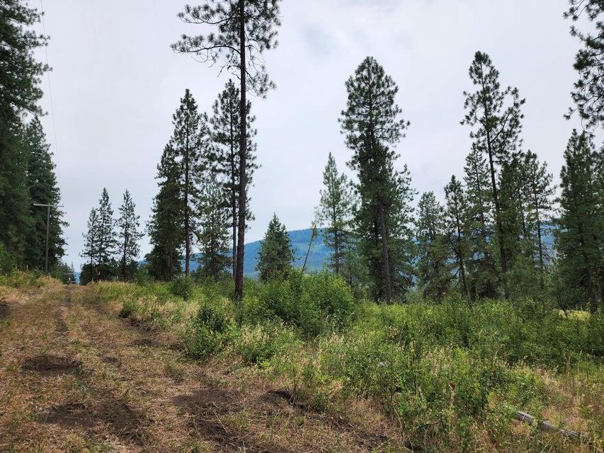 360 Barnaby Creek Road Inchelium, WA 99138 - Photo 22 of 31