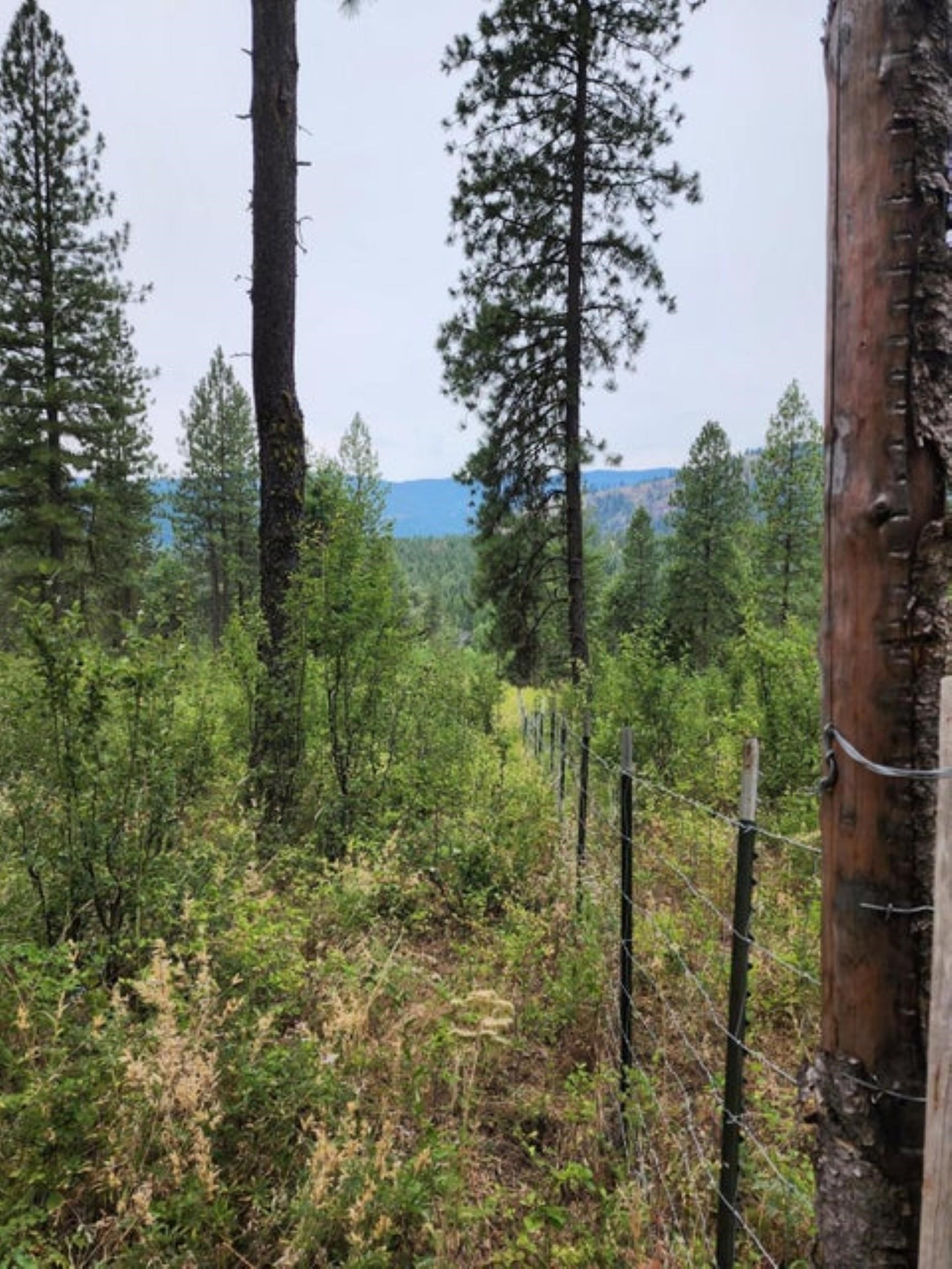 360 Barnaby Creek Road Inchelium, WA 99138 - Photo 23 of 31