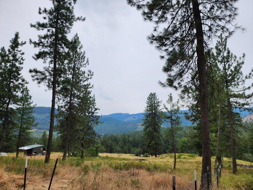 360 Barnaby Creek Road Inchelium, WA 99138 - Photo 24 of 31