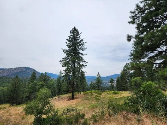 $160,000 | 360 Barnaby Creek Road, Inchelium, WA 99138