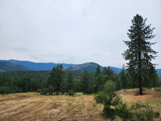 $160,000 | 360 Barnaby Creek Road, Inchelium, WA 99138