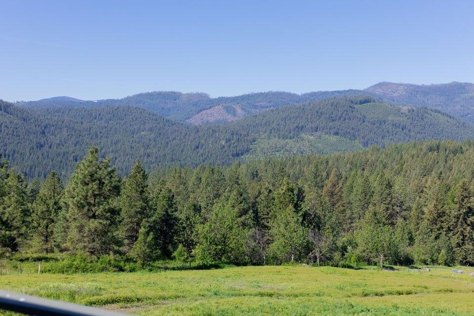 360 Barnaby Creek Road Inchelium, WA 99138 - Photo 7 of 31