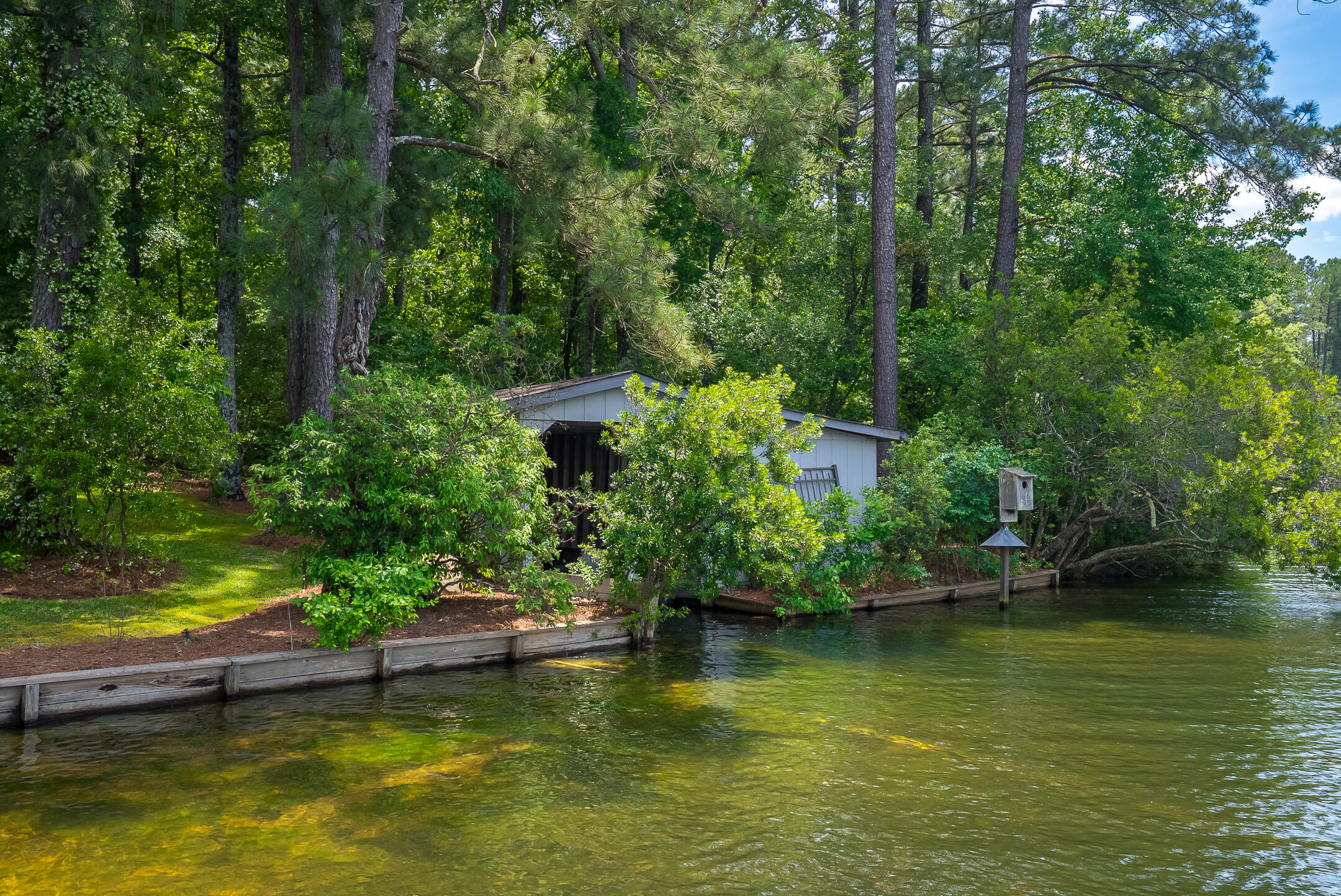 1049 Edisto Lake Road Wagener, SC 29164 - Photo 82 of 96