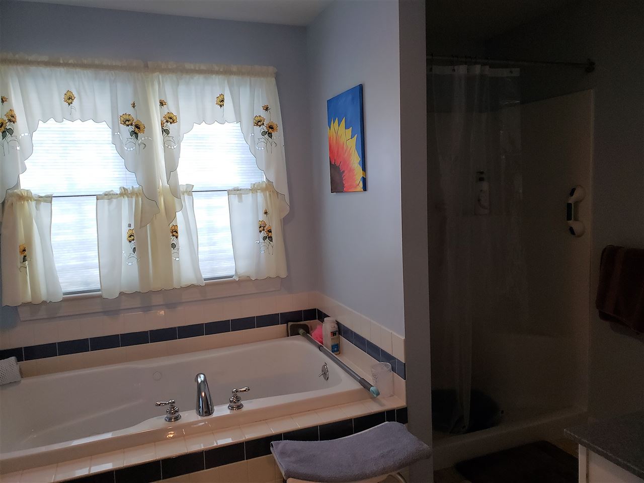 314 Powder Mill Road Alton, NH 03809 - Photo 8 of 13