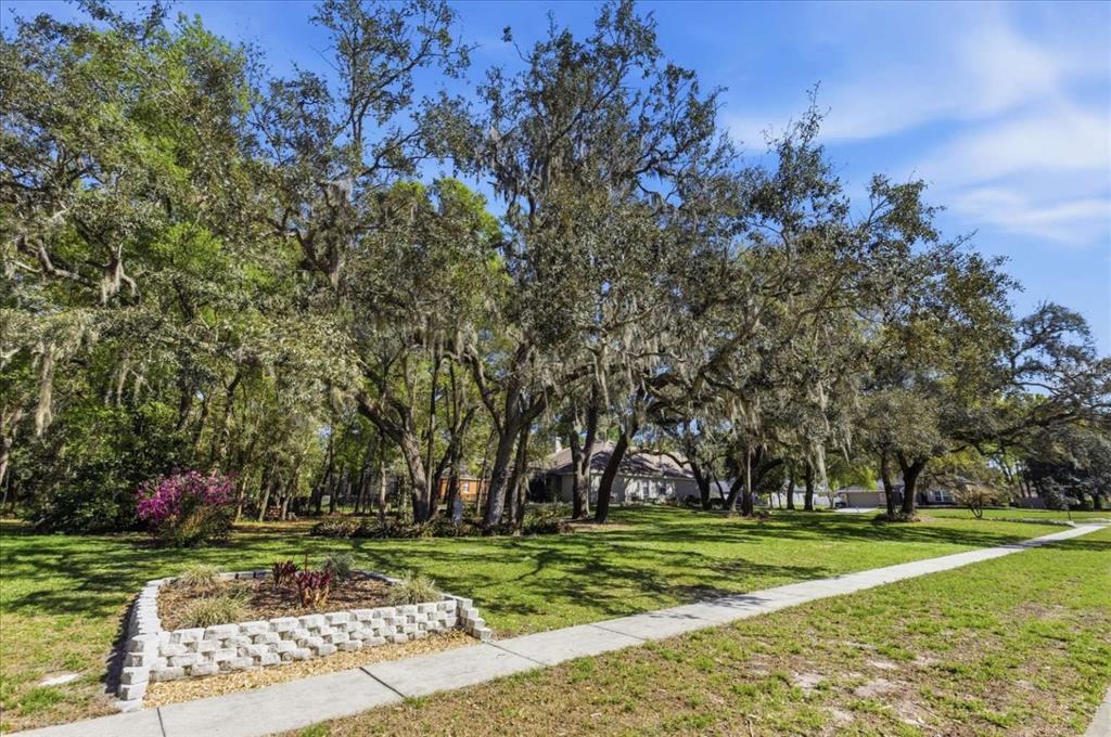 597 Sand Wedge Loop Apopka, FL 32712 - Photo 66 of 71