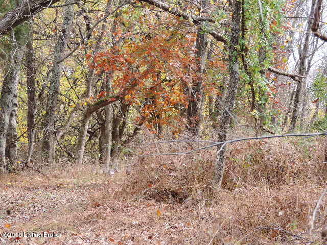 3098 Sulphur Road Sulphur, KY 40070 - Photo 38 of 48 3098 Sulphur Road 080
