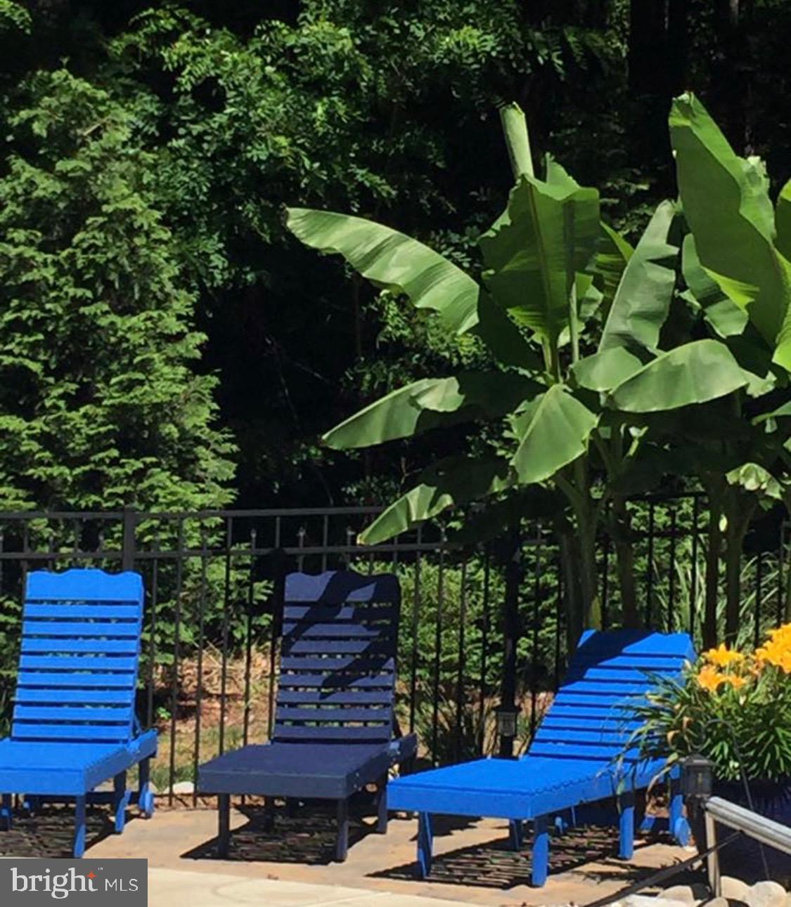 526 Clarks Run Road La Plata, MD 20646 - Photo 5 of 9 Lounge under your own Banana Tree