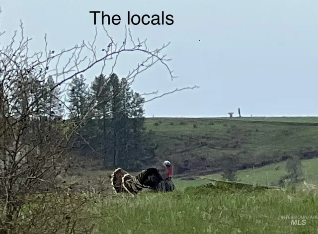 $515,000 | 113 Sweetwater Drive, Stites, ID 83552