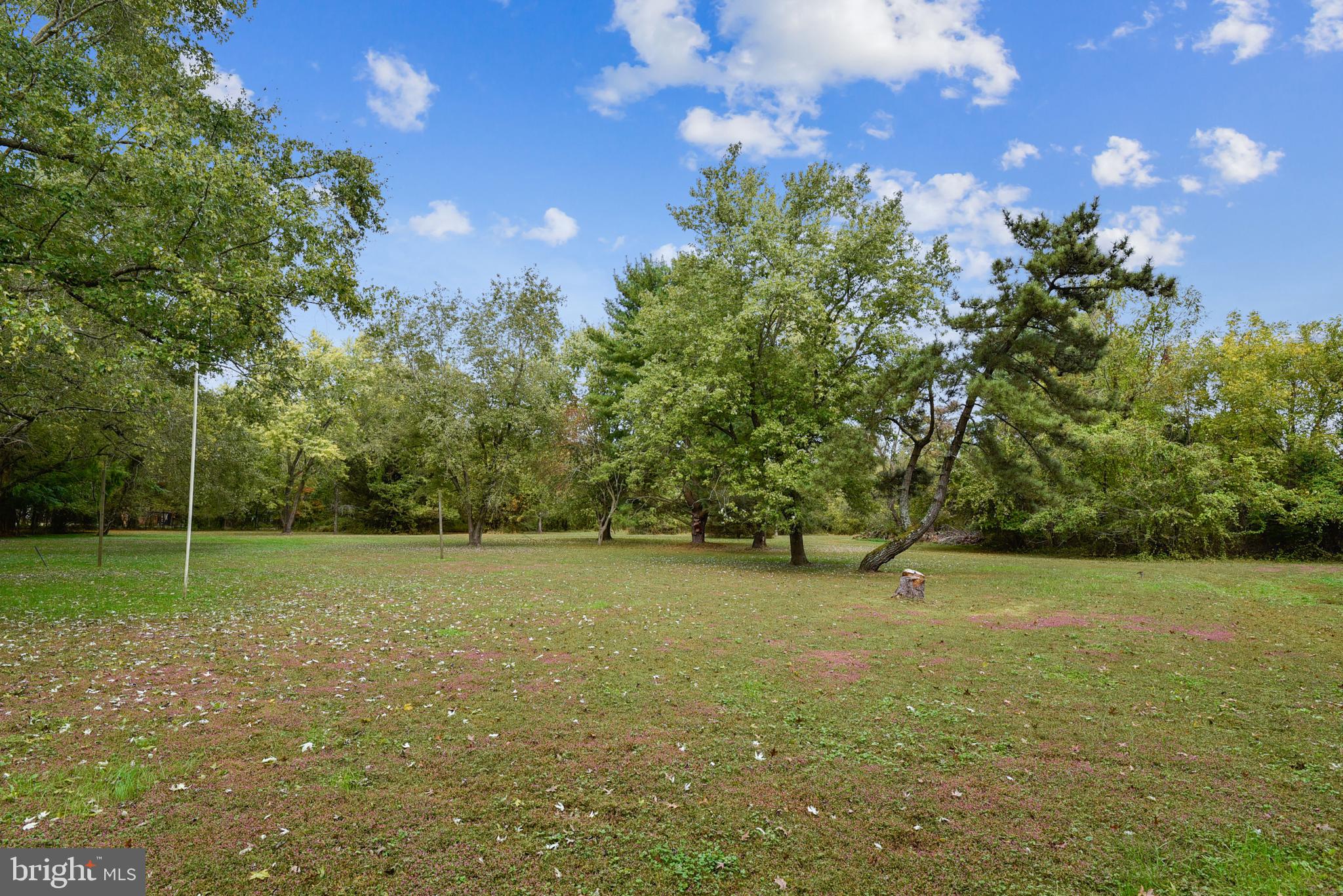 6705 Levin Dashiell Road Hebron, MD 21830 - Photo 76 of 88 Backyard