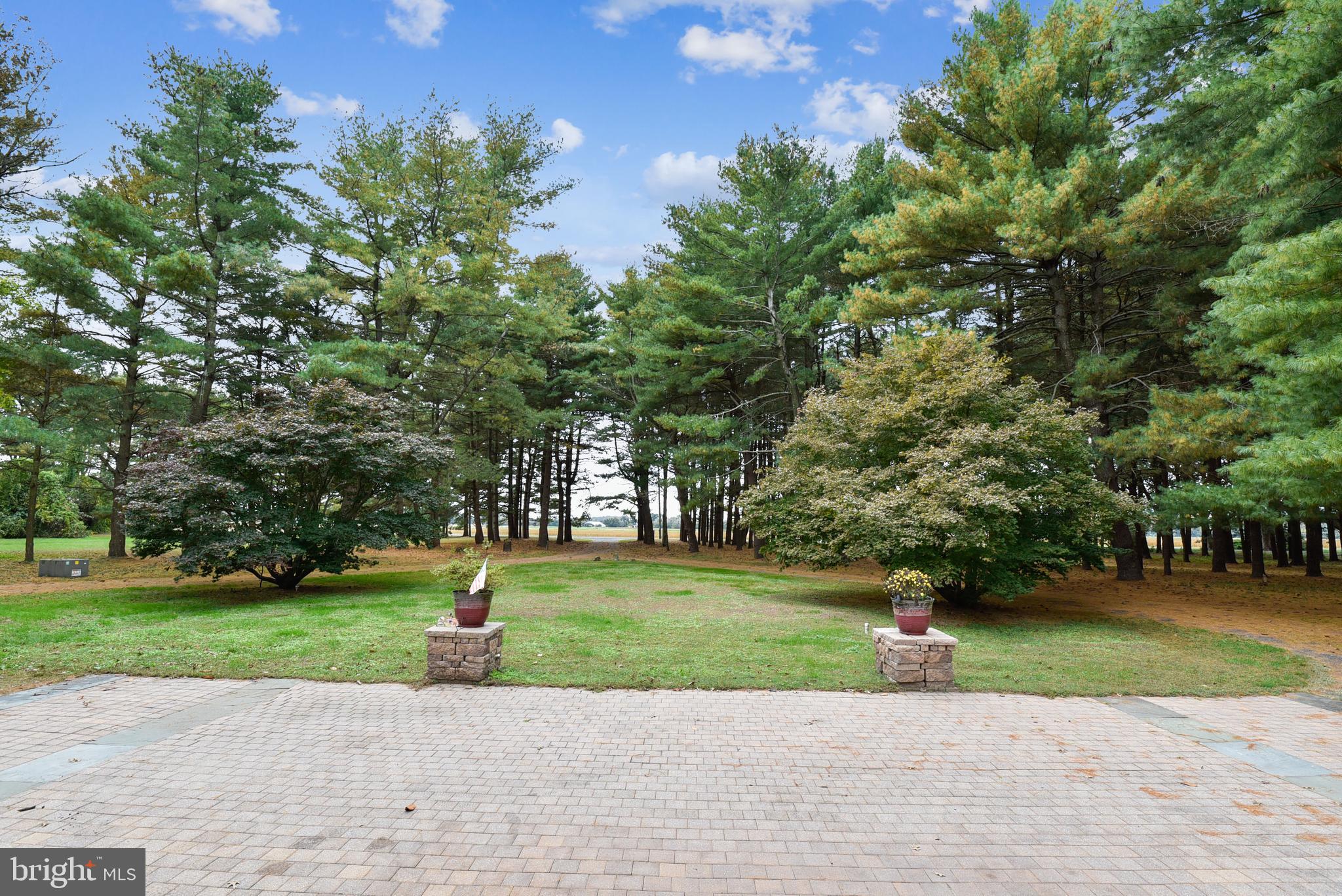 6705 Levin Dashiell Road Hebron, MD 21830 - Photo 8 of 88 Gallery Image 8