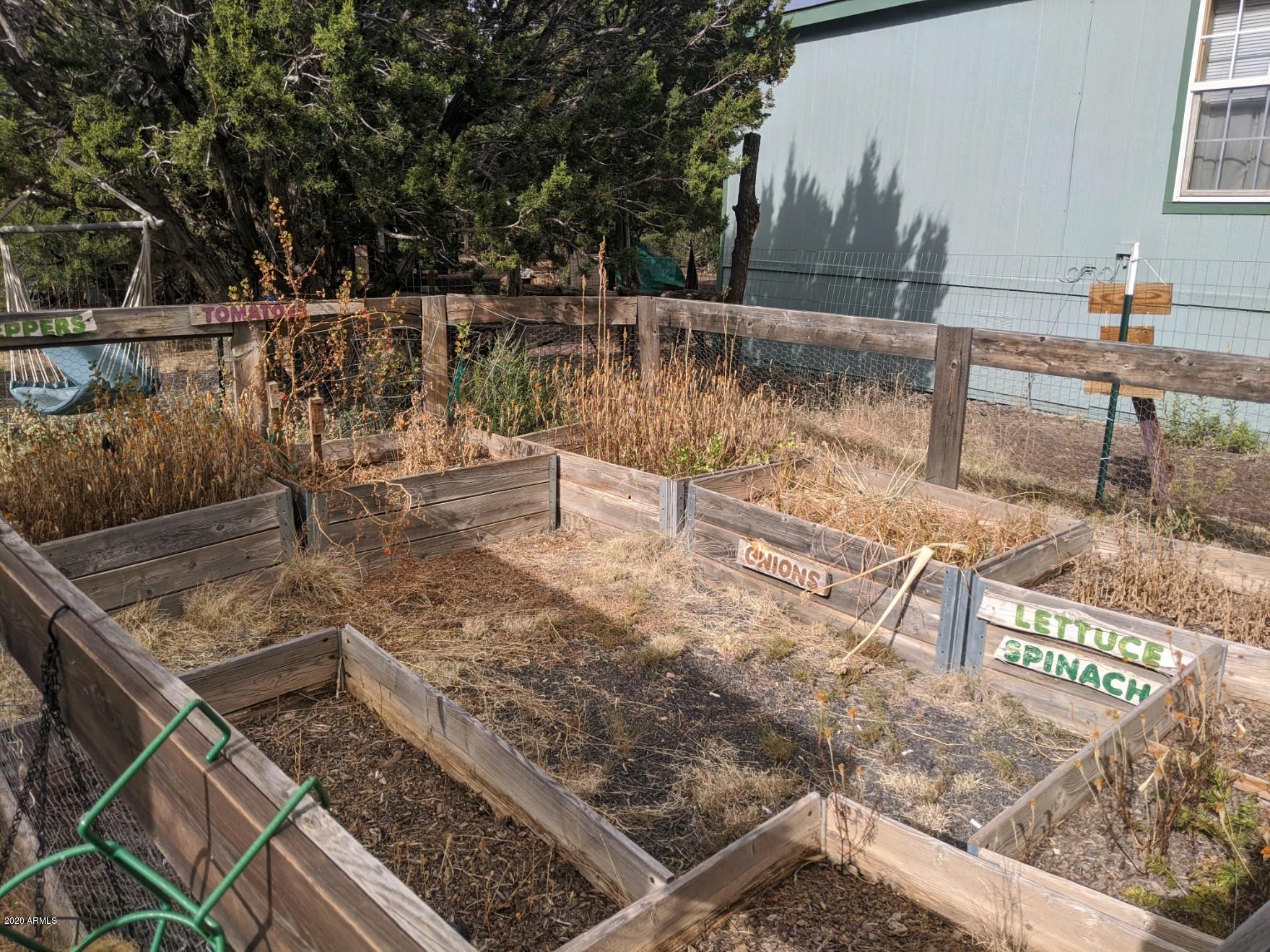 11 County Road Show Low, AZ 85901 - Photo 21 of 22 garden raised bed
