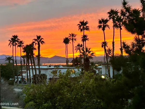 a view of a lake with a palm tree next to a yard