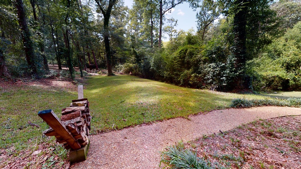 2003 Deerpath Road Dothan, AL 36303 - Photo 4 of 75