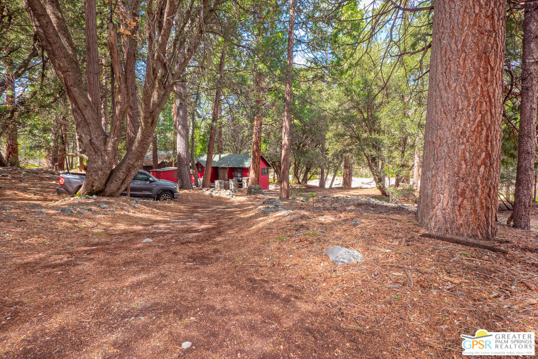 76 7 Oaks Road Angelus Oaks, CA 92305 - Photo 31 of 35 a view of outdoor space with trees