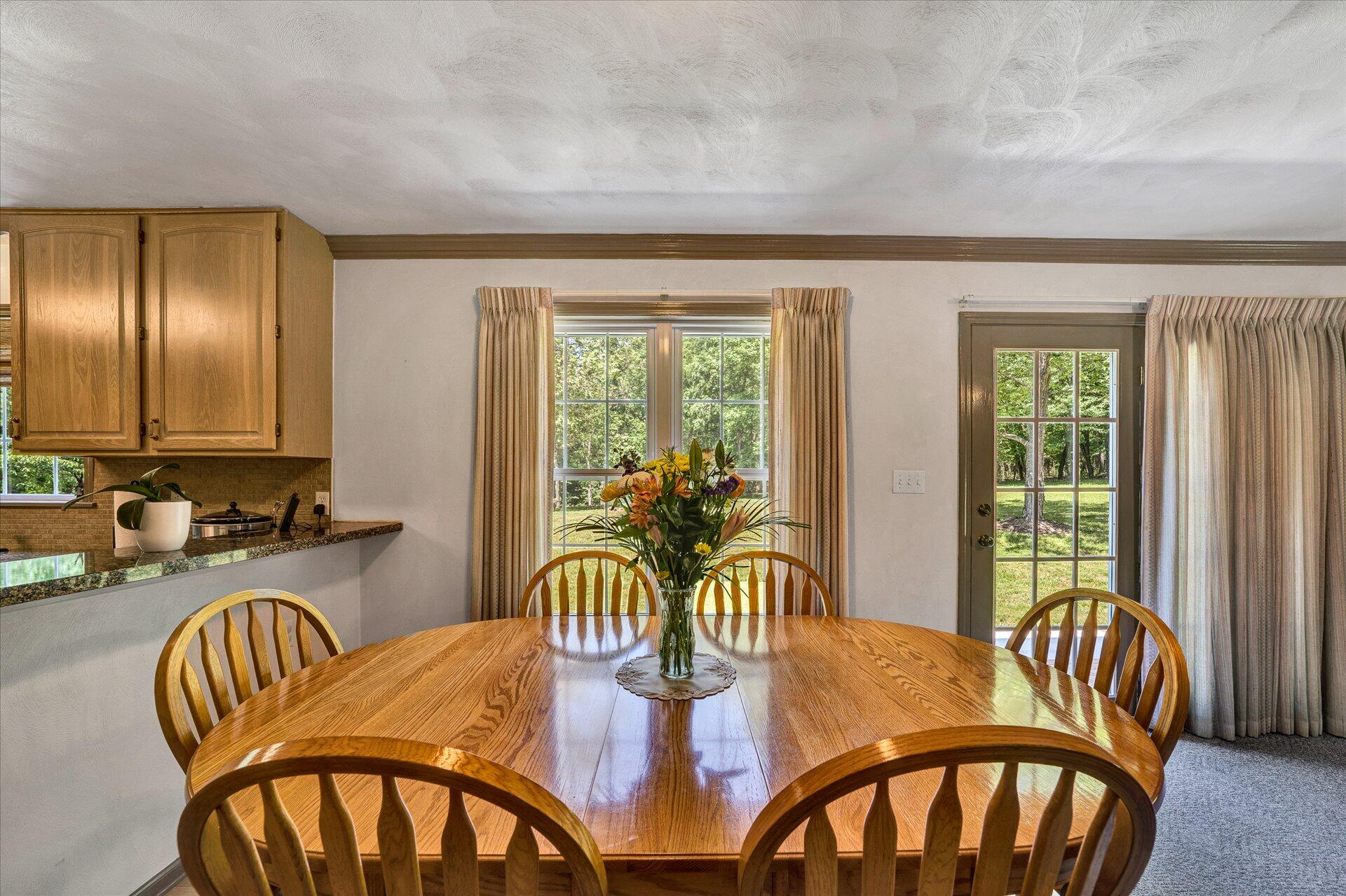 407 McFalls Road Blue Ridge, VA 24064 - Photo 15 of 42 15-DSC00193