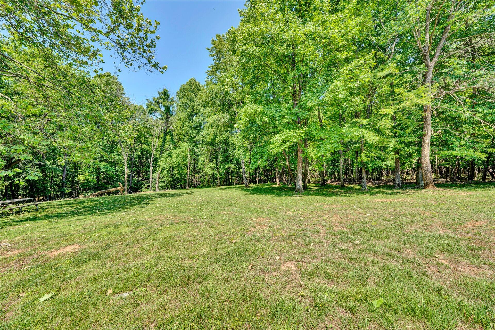 407 McFalls Road Blue Ridge, VA 24064 - Photo 37 of 42 37-DSC00268
