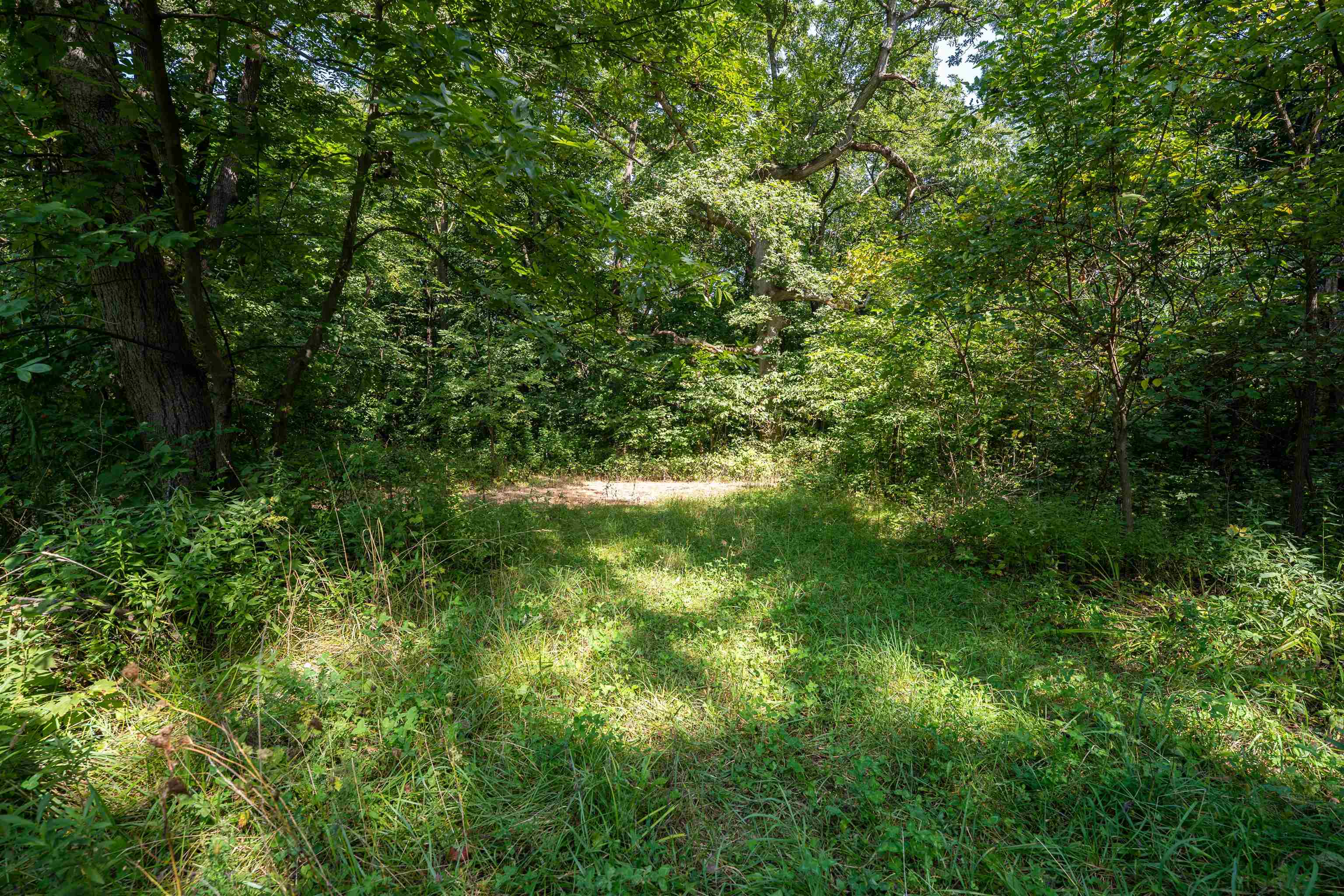 0 West Raders Road Pearl City, IL 61062 - Photo 17 of 74 Gallery Image 17
