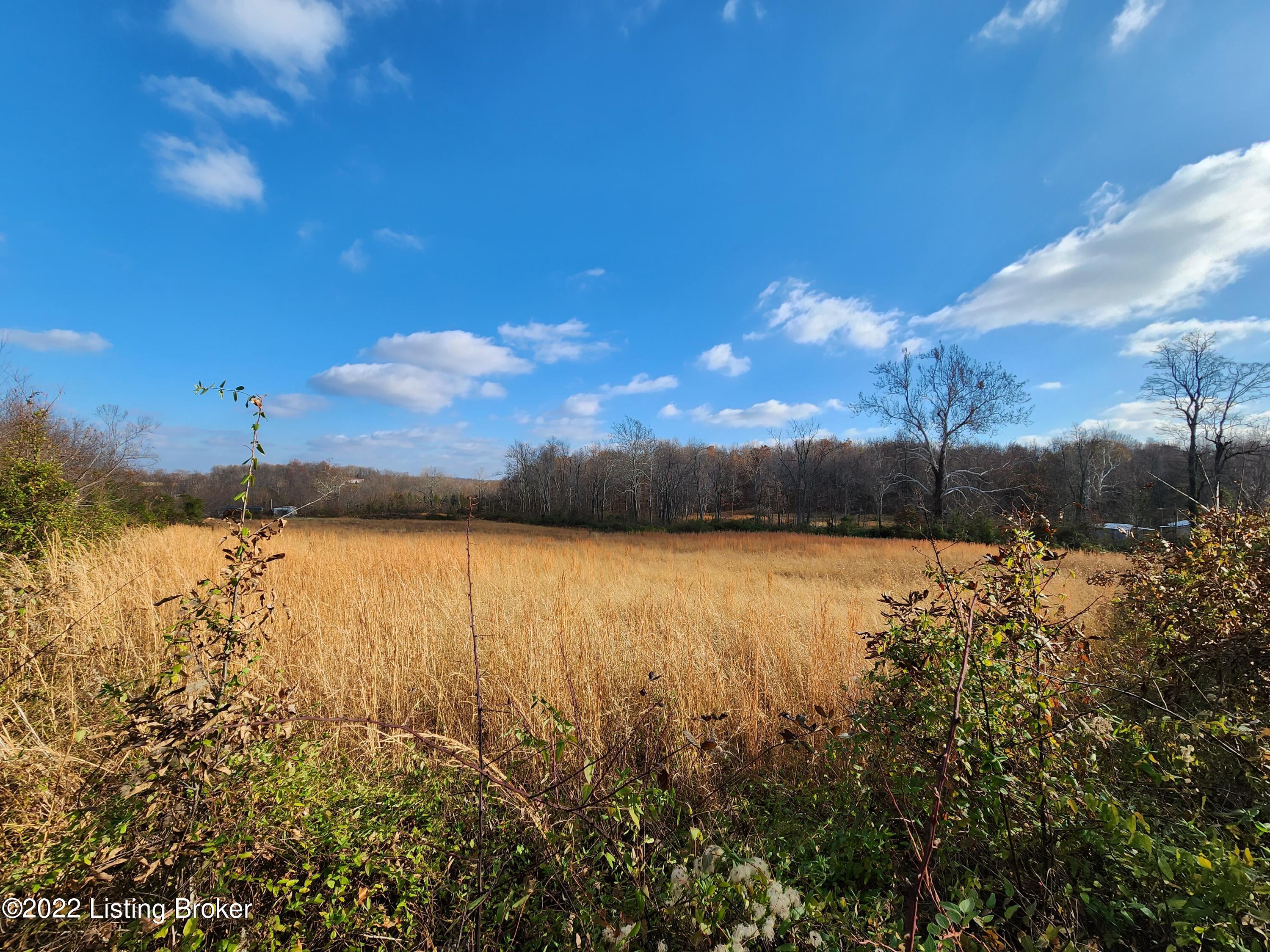 Lot 4 John Morris Road Custer, KY 40115 - Photo 2 of 2 20221125_143412