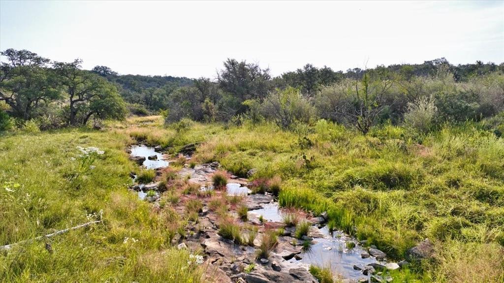 4900 State Highway 71 Voca, TX 76887 - Photo 15 of 29 a view of a forest with a tree
