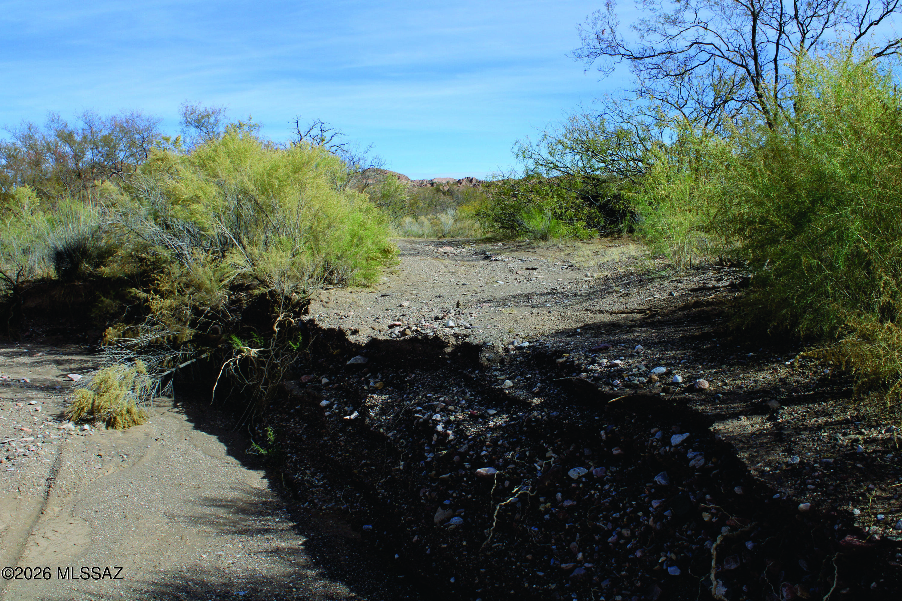 40-acres East Pebble Road Douglas, AZ 85607 - Photo 14 of 15