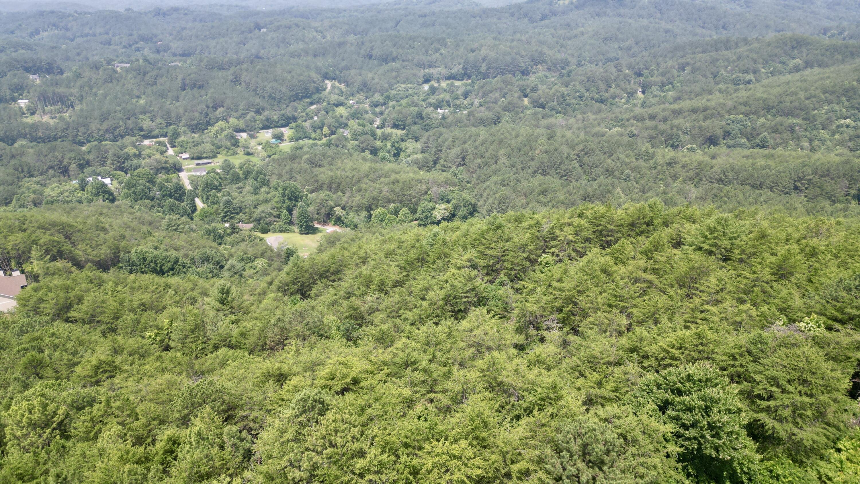 0 Little Mountain Road Copperhill, TN 37317 - Photo 3 of 3 DJI_0116