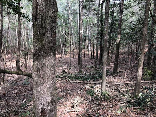 25-ac Gantt Road Andalusia, AL 36421 - Photo 35 of 36 Gallery Image 35