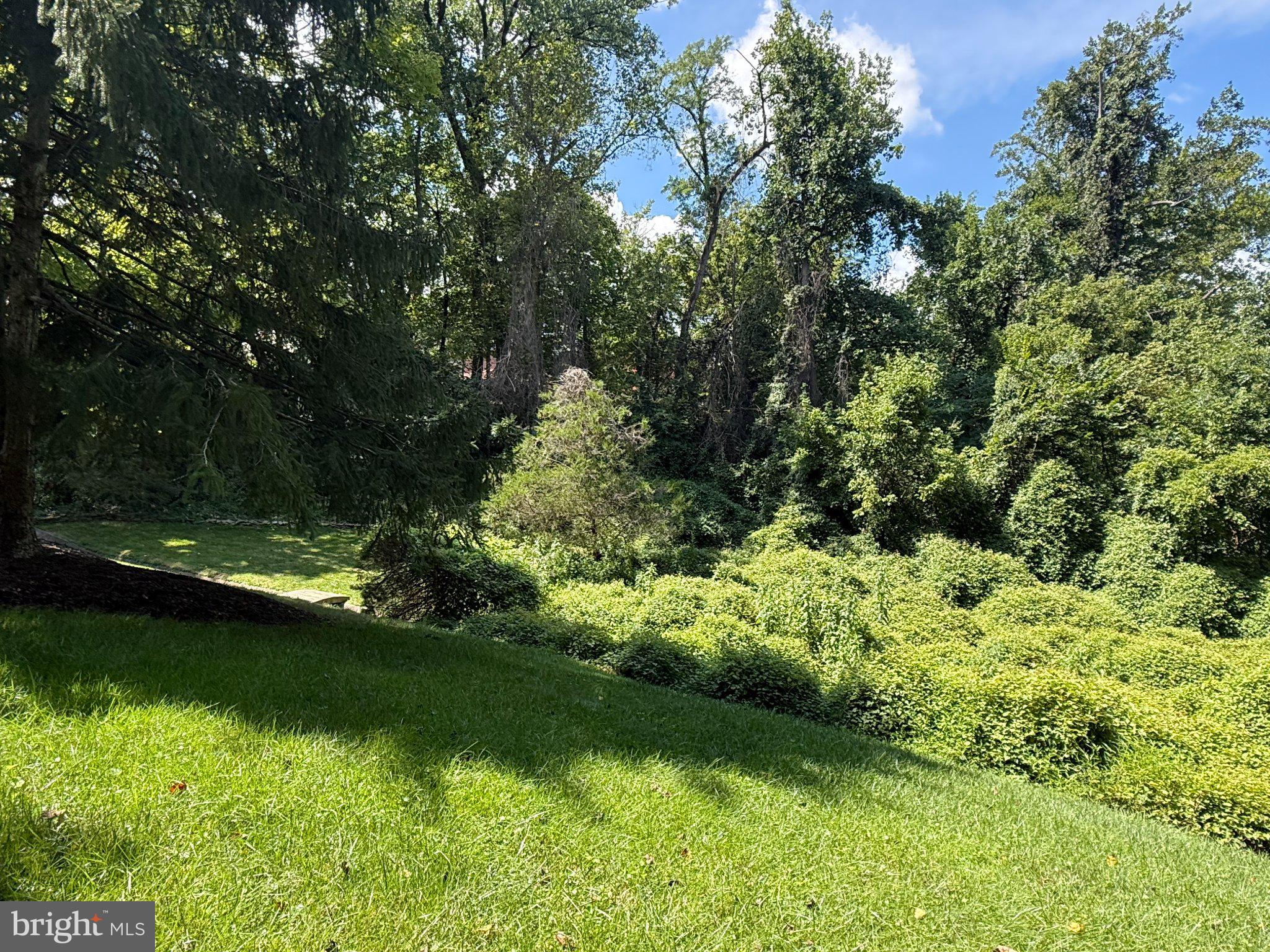 Old Chesterbrook Road McLean, VA 22101 - Photo 11 of 14 Lush greenery under a bright sky.