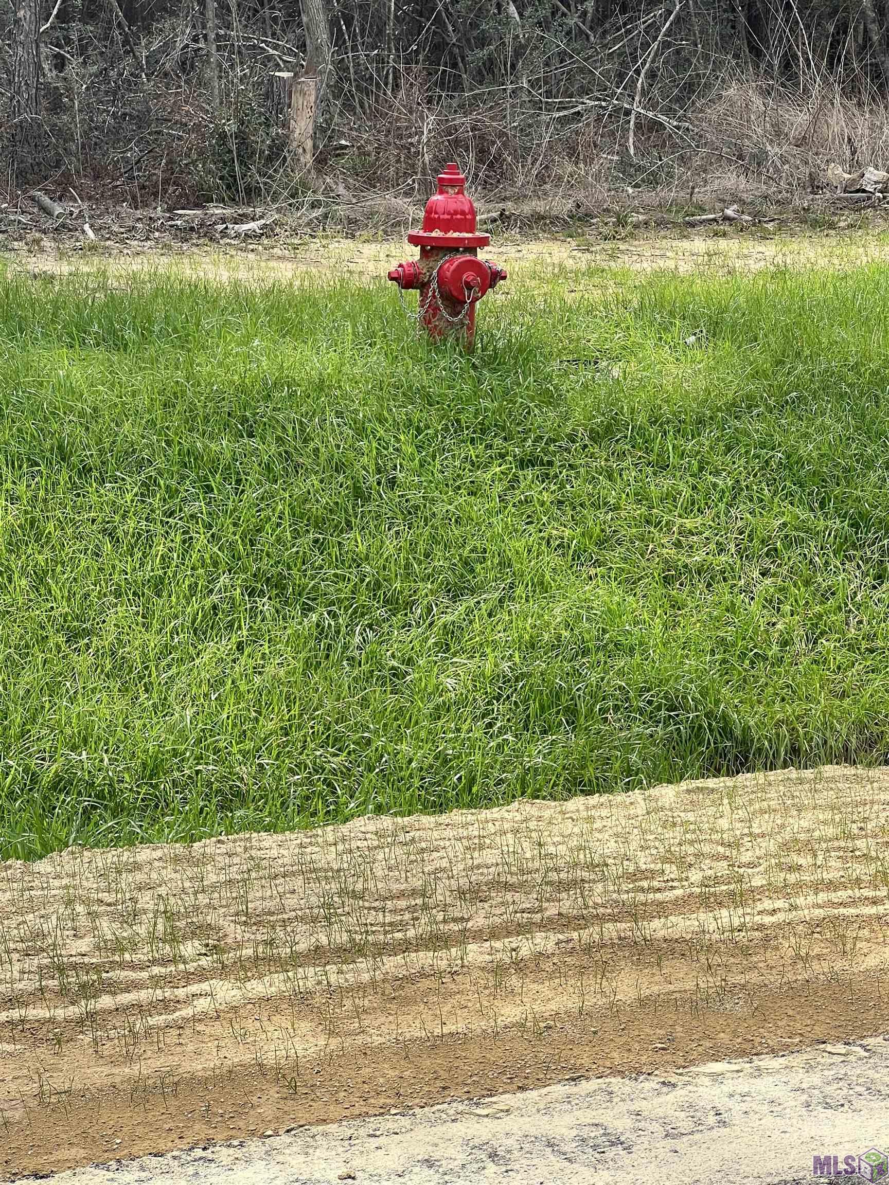 Lot 24 Copper Pass Livingston, LA 70754 - Photo 4 of 15