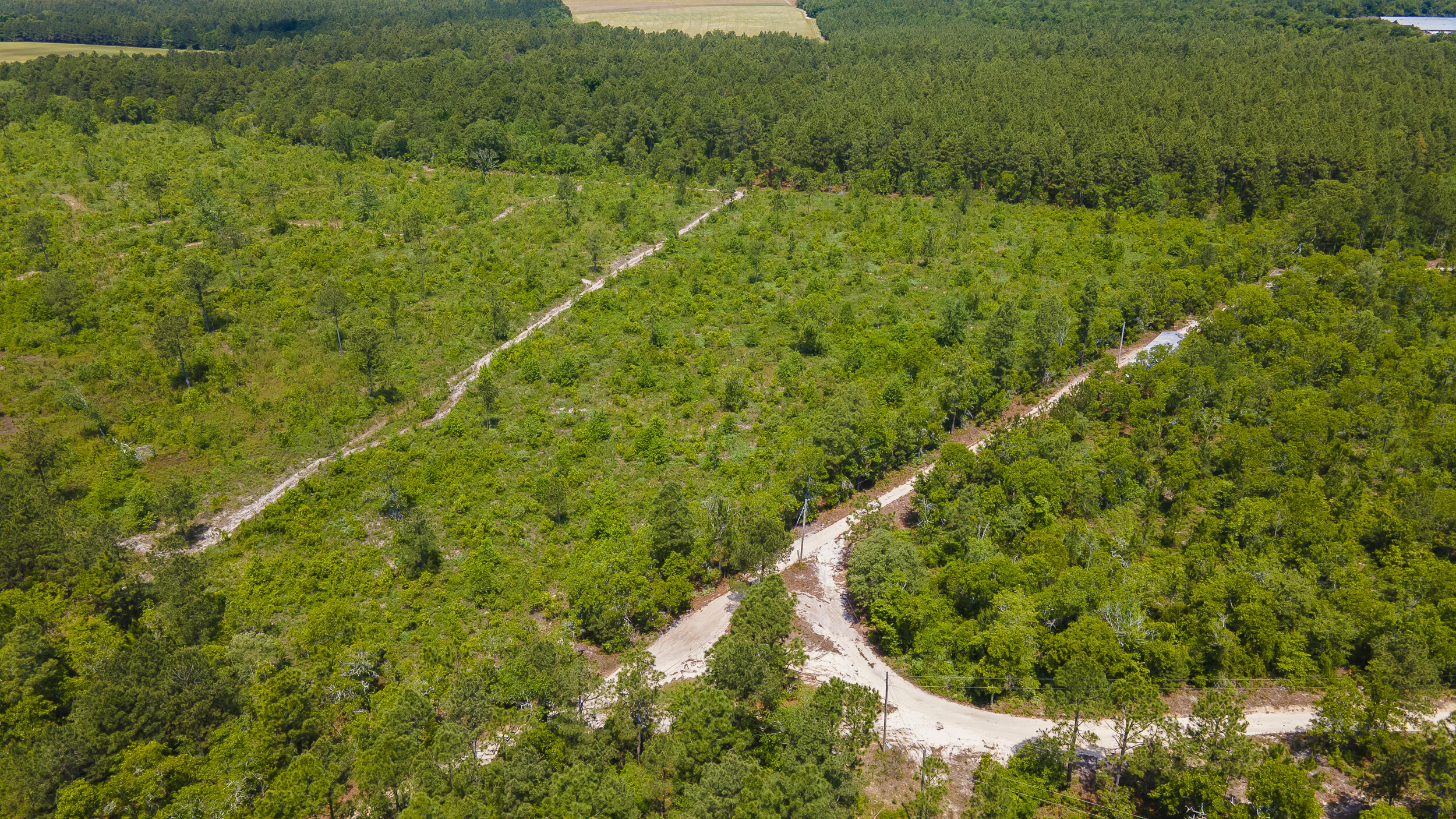 9-acres Old Shoals Road Monetta, SC 29105 - Photo 2 of 3