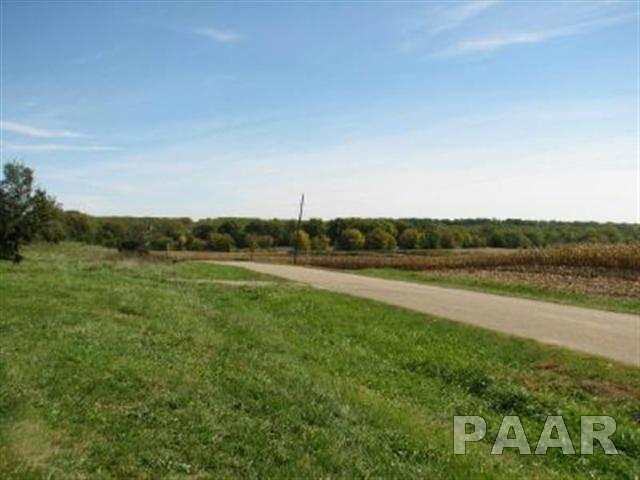 31180 Tyrrell Road Mackinaw, IL 61755 - Photo 2 of 30