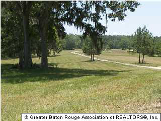 22334 Chaney Road Zachary, LA 70791 - Photo 1 of 5 Gallery Image 1