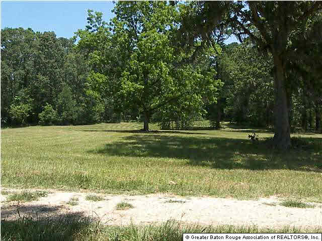 22334 Chaney Road Zachary, LA 70791 - Photo 2 of 5 Gallery Image 2
